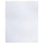 Poster Sleeves