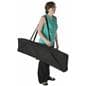 Collapsible Magazine Stand with Carrying Bag