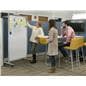 Dry erase rolling room divider with double-sided display 