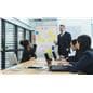 Dry erase rolling room divider with anodized aluminum frame 