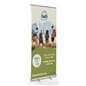 Rollup Banner