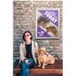 Locking poster frame on with pet adoption advertisement