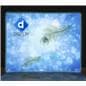 Glow fabric front of 2-sided SEG fabric backlit wall
