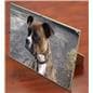 Glass Clip Photo Frame Is Frameless With A Glass Panel