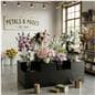 modular riser display set for retail environments