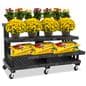 Rolling commercial nursery rack with grid top platforms