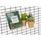Rectangular acrylic gridwall display shelf 