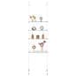 Cable suspended shelves with stainless steel and glass construction