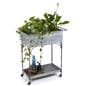Whitewashed iron raised garden with 7.5 inch deep top tray
