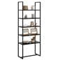 Ladder display shelf for displaying merchandise