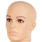 Plastic Male Mannequin