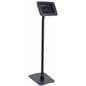 iPad Retail Kiosk with 2 Faceplate Options