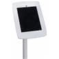 Storefront iPad Stand for Retail Checkout