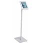 Storefront iPad Stand with Secured Tablet Holder