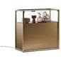 Showcase counter with bronze finish