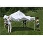 White Pop Up Tents