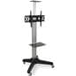 Flat Panel Cart