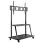 Black contemporary mobile TV mount
