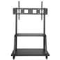 Steel contemporary mobile TV mount