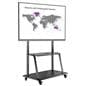 Contemporary mobile TV mount is great for presenting 