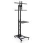 TV stand shelf