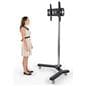 Flat Panel Stand