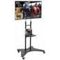Mobile TV Console, VESA Compliant