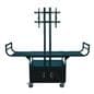 Flat Screen Cart with Dual Posts