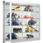 Wall Mounted LED Showcase, Z-bar Mounting