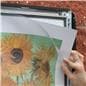 24 x 36 frames