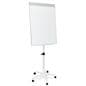 Mobile dry erase board with stain and dent resistant surface