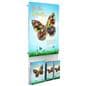 Recycled acrylic poster display with modular brochure pockets