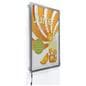 Lightweight Light Box Display with Low Profile