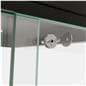 Mannequin display case with lock