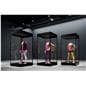 Mannequin display cases showcasing athleisure 