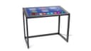 Accessible Touch Screen Digital Kiosk