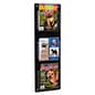 Wall Mounted Acrylic Literature Rack, w/ Adjustable Pockets - Multiple Sizes