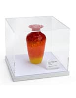 Museum-Style Counter Box for Gallery Displays Showcasing Exhibit Museum-Style Counter Box