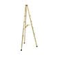 Display Easel for Floor, Tripod Design, 4 Set Display Heights, 6 Feet - Gold