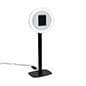 Tablet Photo Booth Station, LED Light Ring, Adjustable Height, Floor Standing - Black