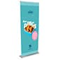 Retractable Banner Stand with Custom Vinyl Graphics, Multiple Width Options – Silver