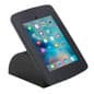 iPad Counter Stand w/ Flip Screen Share, Locked Enclosure, Hidden Home Button