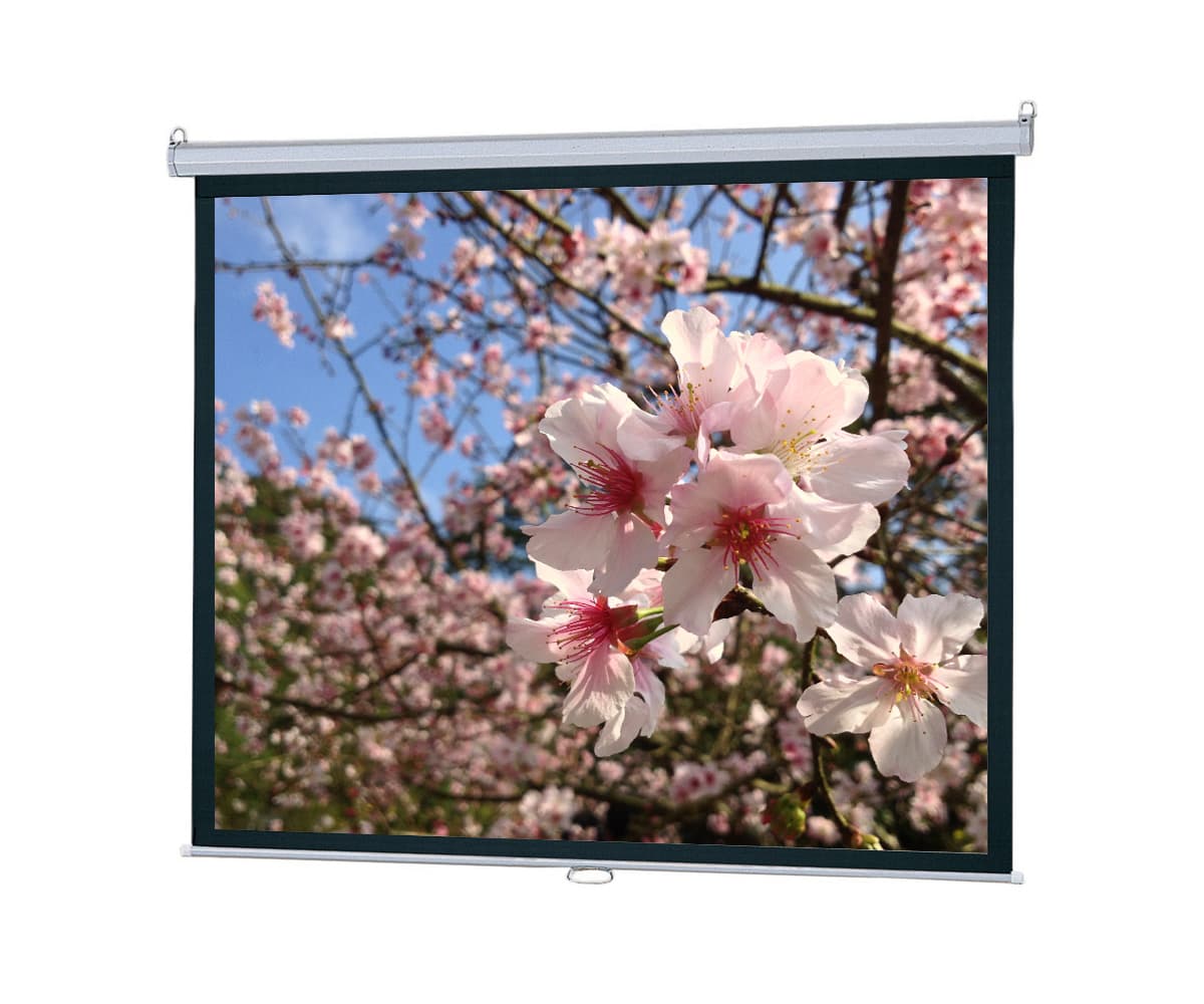 Pull Screen Monitor Pull Down Screen | Retracting Wall or Ceiling Design for Projectors ...